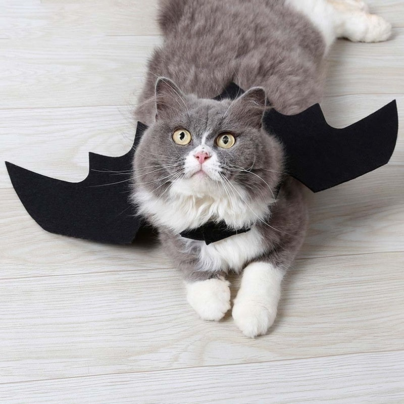 Halloween Bat Wings Harness Costume | Cat & Dog Cosplay
