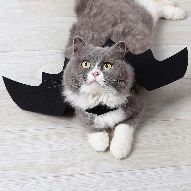 Halloween Bat Wings Harness Costume | Cat & Dog Cosplay