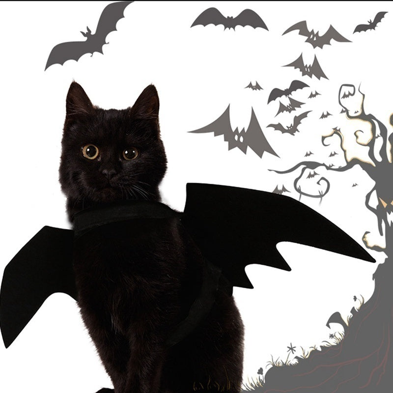 Halloween Bat Wings Harness Costume | Cat & Dog Cosplay