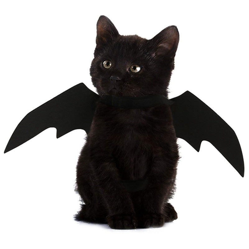 Halloween Bat Wings Harness Costume | Cat & Dog Cosplay