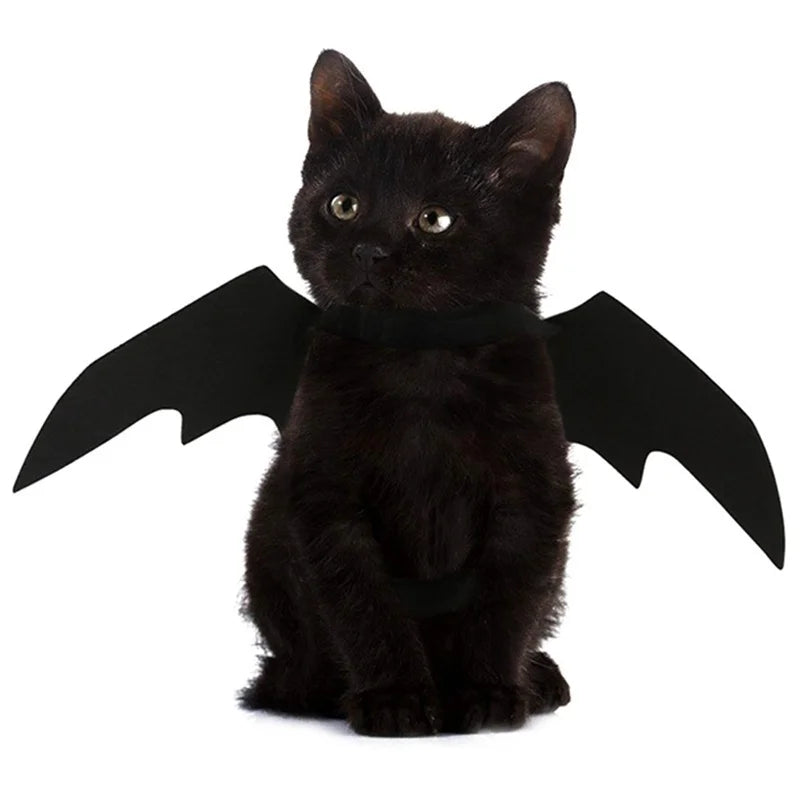 Halloween Bat Wings Harness Costume | Cat & Dog Cosplay